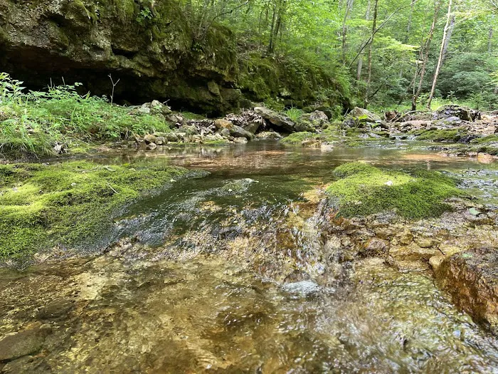 Buffalo Creek Campground 9