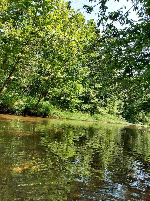 Buffalo Creek Campground 6