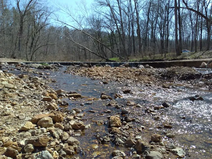 Buffalo Creek Campground 7