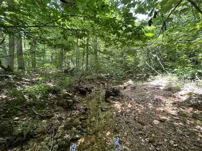 Buffalo Creek Campground 10