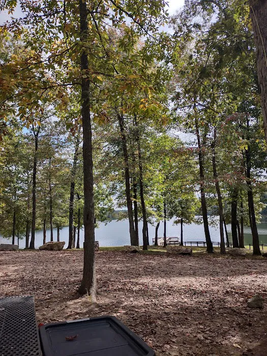 Fourche Lake Recreation Area, Mark Twain National Forest 10