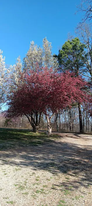 Fourche Creek RV Park and Riding Trails 9