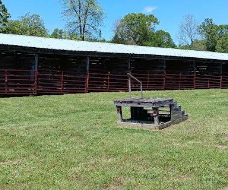 Fourche Creek RV Park and Riding Trails