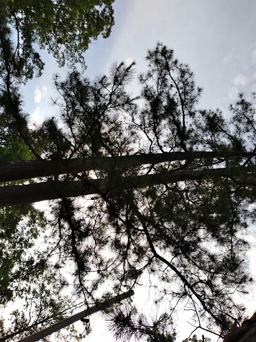Twin Pines Campground 7