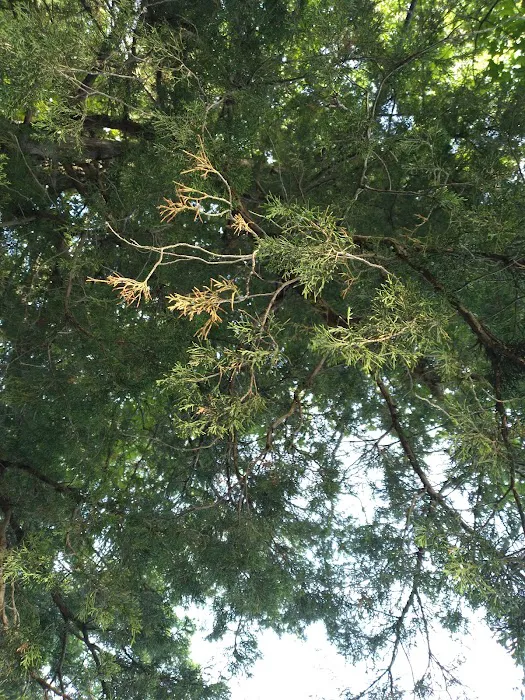 Twin Pines Campground 2