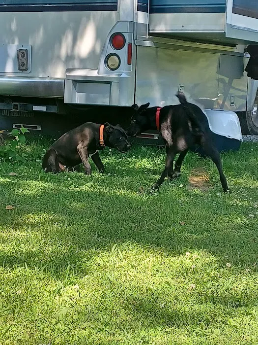 Little Bear Island Campground 10