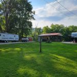 The Sandy Woodpecker