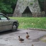Lake Vesuvius Picnic Areas - Furnace Shelter
