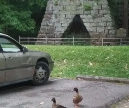 Lake Vesuvius Picnic Areas - Furnace Shelter