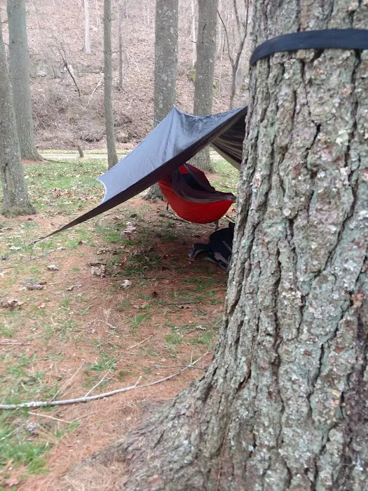Paddle Creek Horse Camp 1