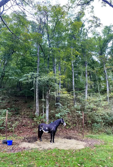 Paddle Creek Horse Camp 10