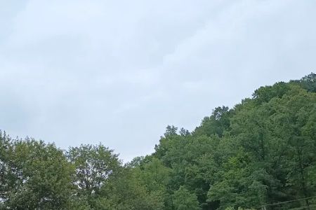 Elkins Creek Horse Camp & Tack