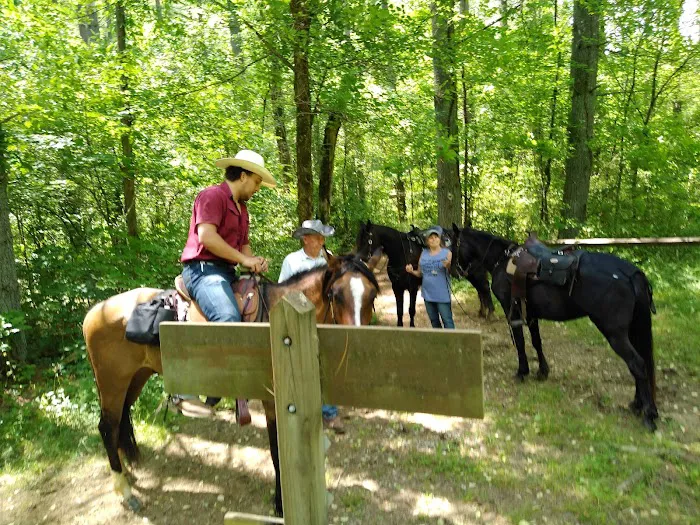 Elkins Creek Horse Camp & Tack 9