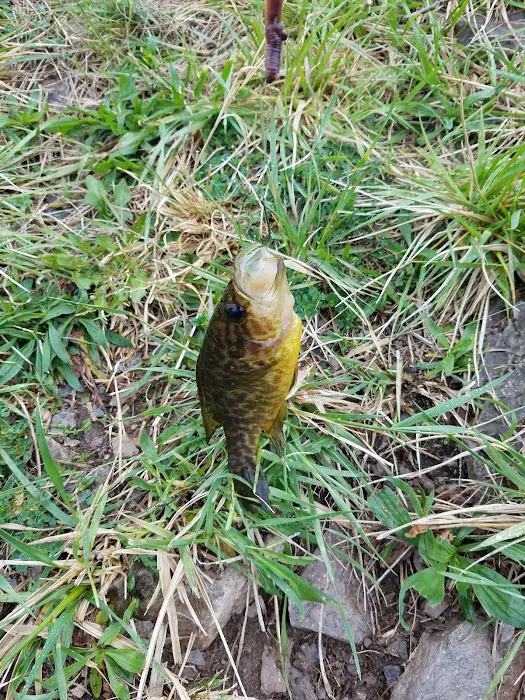 Timber Ridge Lake 7