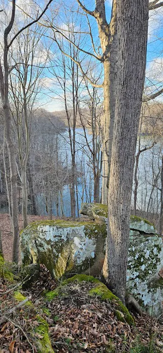 Timber Ridge Lake 2