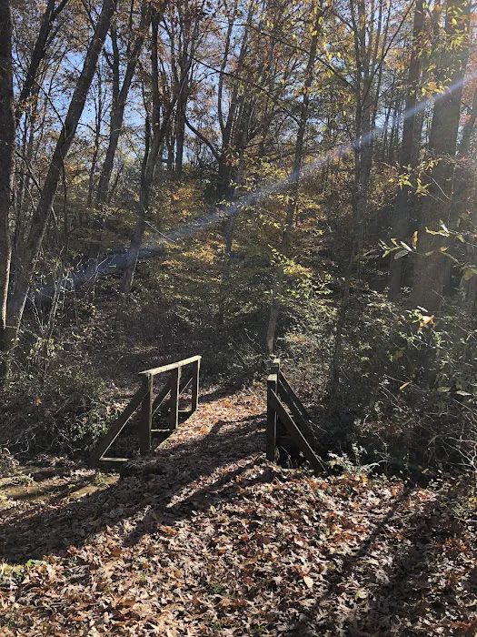 Grayson Lake Damsite Shelters 6