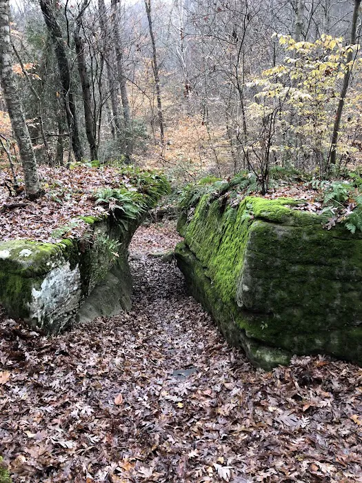 Grayson Lake Damsite Shelters 7