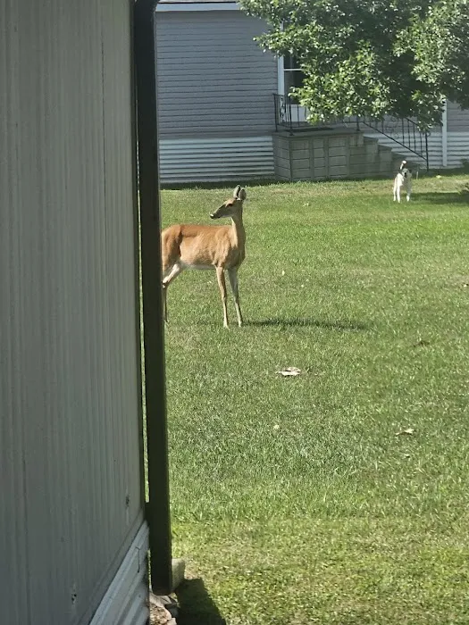 Misty Glen Mobile Home Park 10