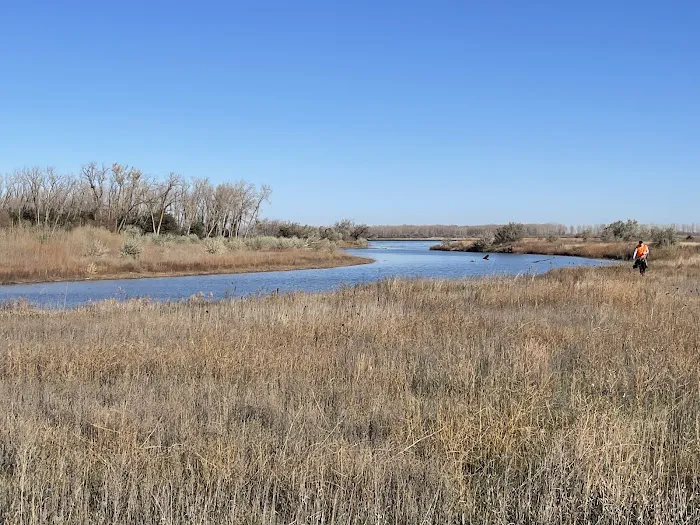 Bow Creek Primitive Campsite 2