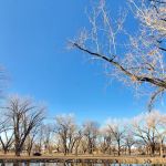 City of Schuyler Campground
