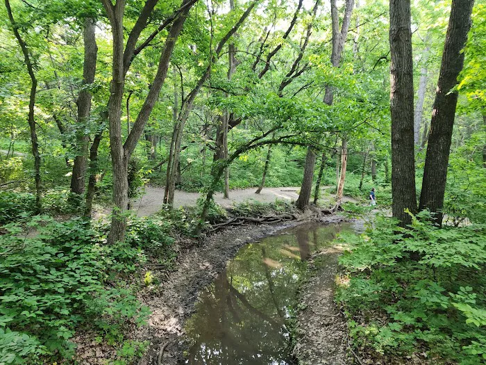 Bison Lane RV Campground 10