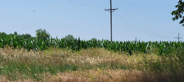 Omaha Campsite 5