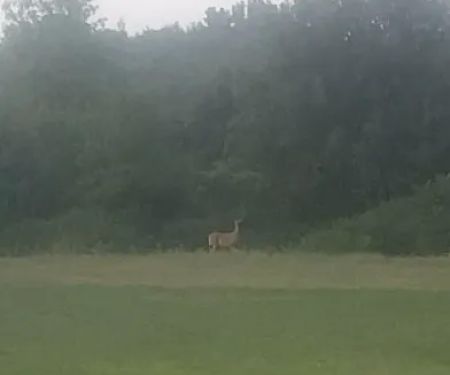 Little Creek Campground