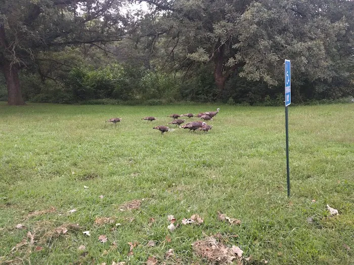 Little Creek Campground 3