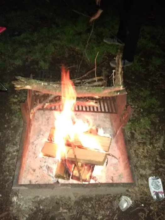 Little Creek Campground 6