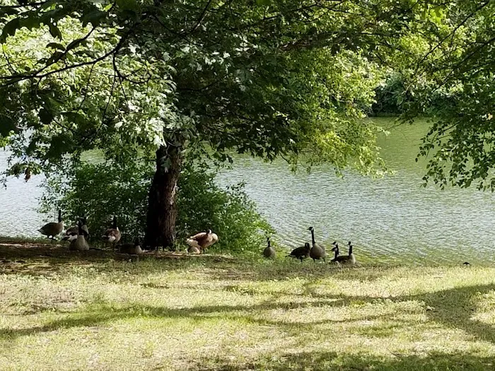 Lakeside Campground 9