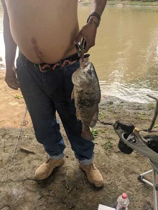 Catfish Run WMA, Kayak Landing 4
