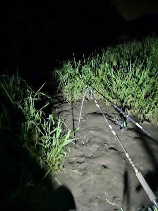 Catfish Run WMA, Kayak Landing 7