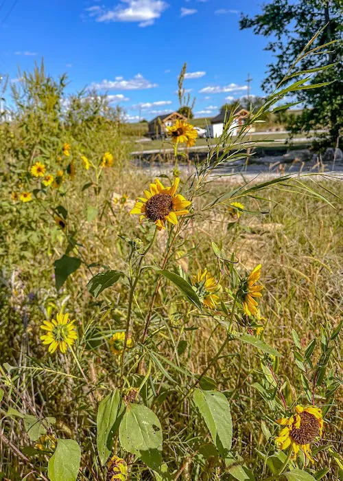 Oregon Trail Glamping and RV Park Hiawatha, KS 1
