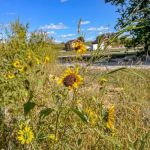 Oregon Trail Glamping and RV Park Hiawatha, KS