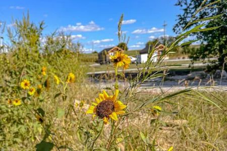Oregon Trail Glamping and RV Park Hiawatha, KS