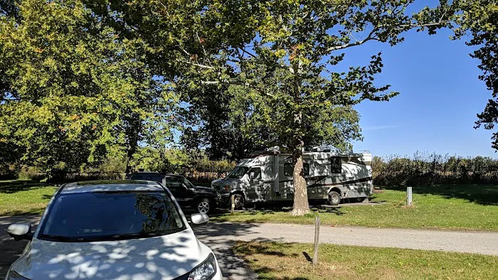 Goldenrod Campground 1