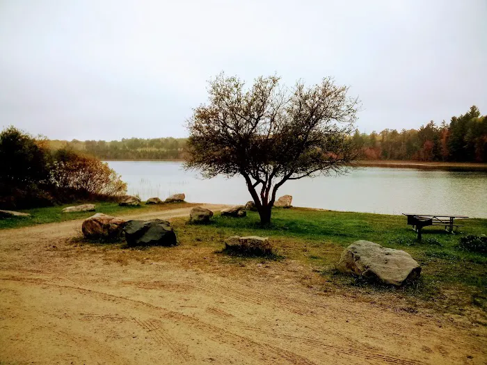 Pickerel Lake State Forest Campground 6