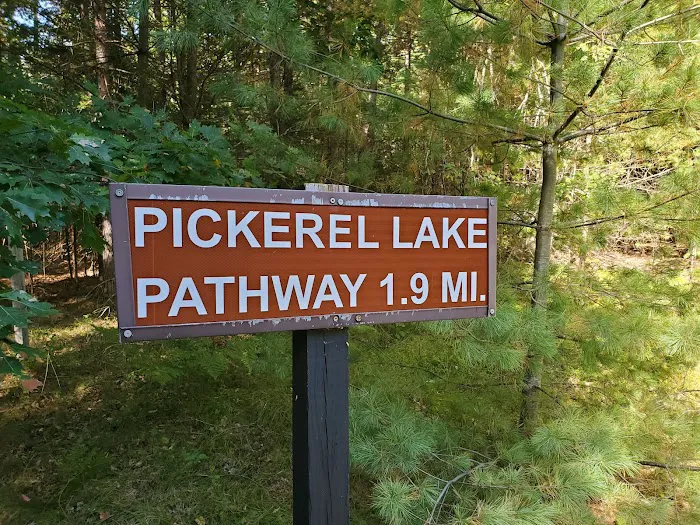 Pickerel Lake State Forest Campground 10