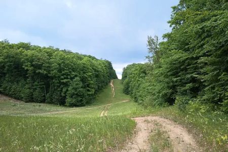 Smerczak Property