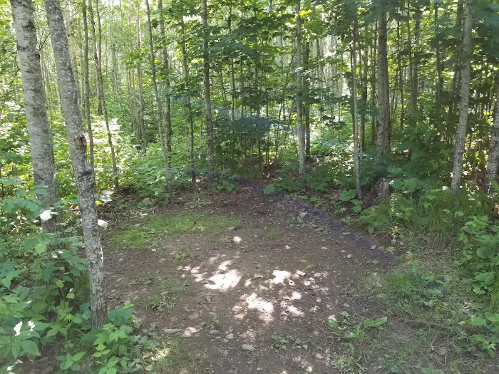 McCarthy Creek Camp 1