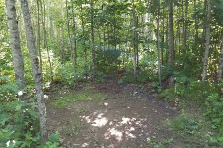 McCarthy Creek Camp