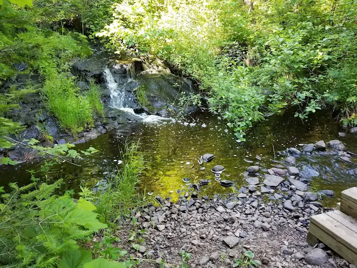 McCarthy Creek Camp 7