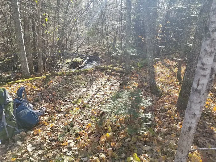 McCarthy Creek Camp 10