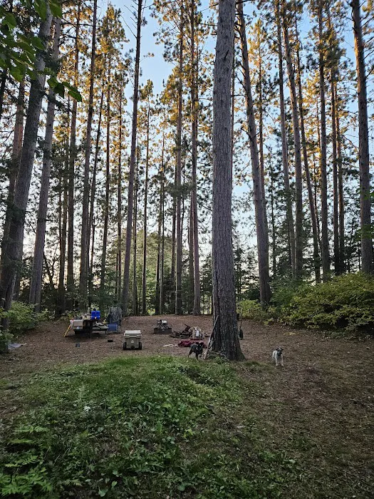 Buzz Ryan Campground 3