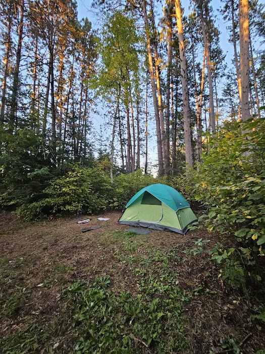 Buzz Ryan Campground 1