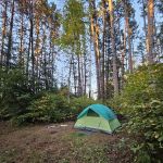 Buzz Ryan Campground