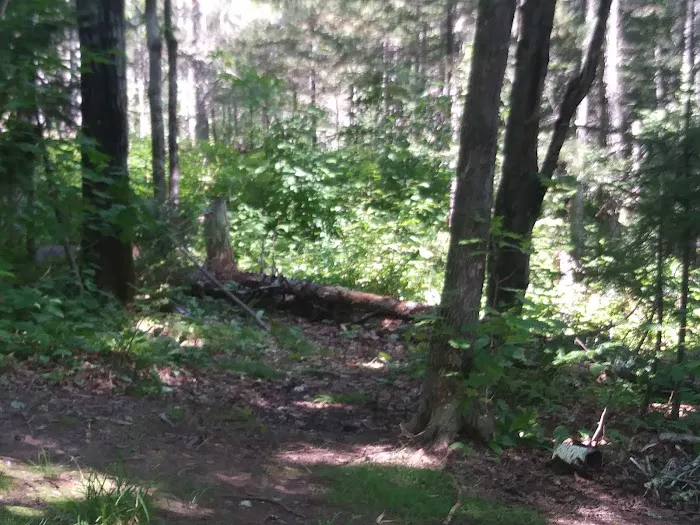 Reeves Falls Camp 7