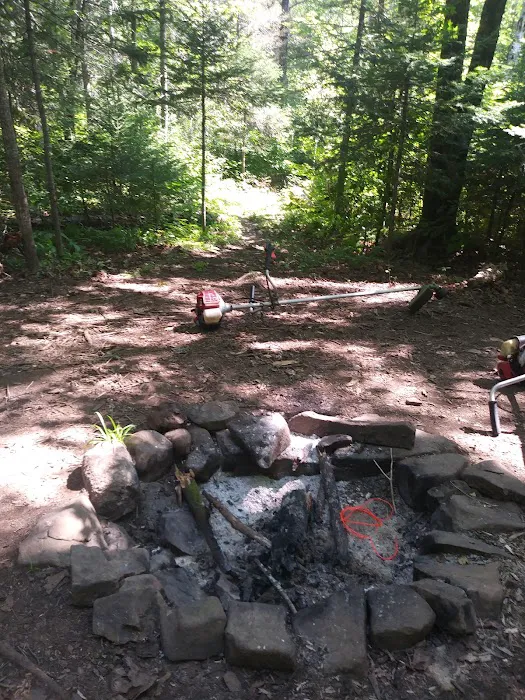 Reeves Falls Camp 8