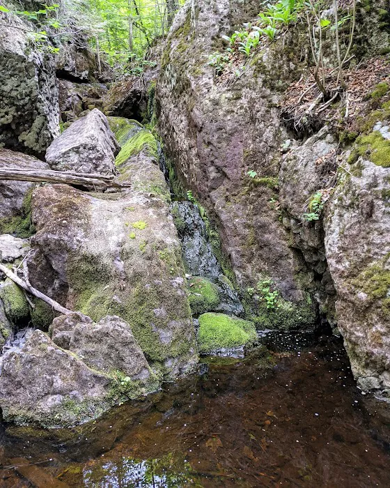 Reeves Falls Camp 1