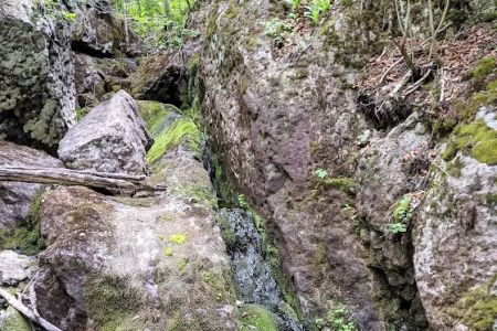 Reeves Falls Camp